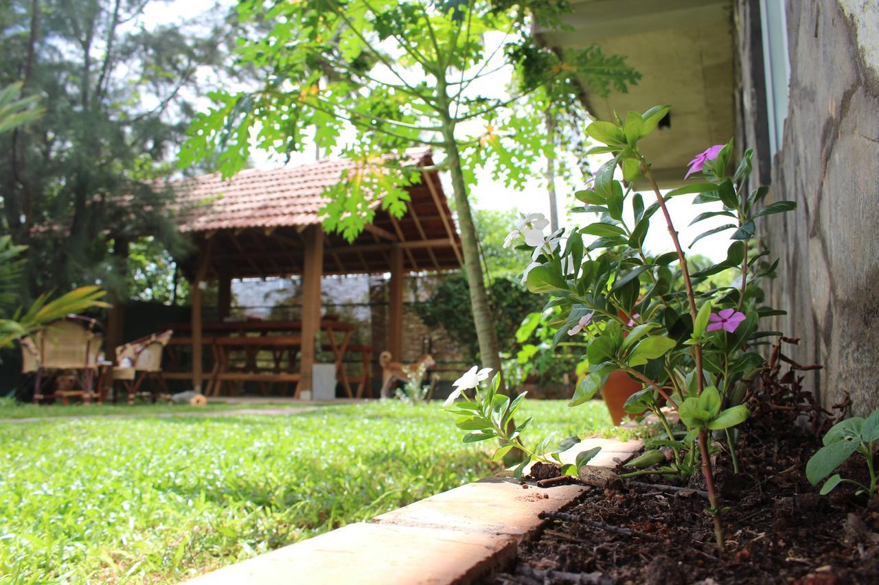 Airport Green Hotel Katunayake Exterior photo